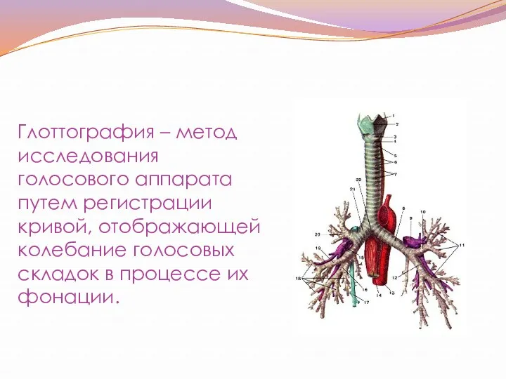 Глоттография – метод исследования голосового аппарата путем регистрации кривой, отображающей