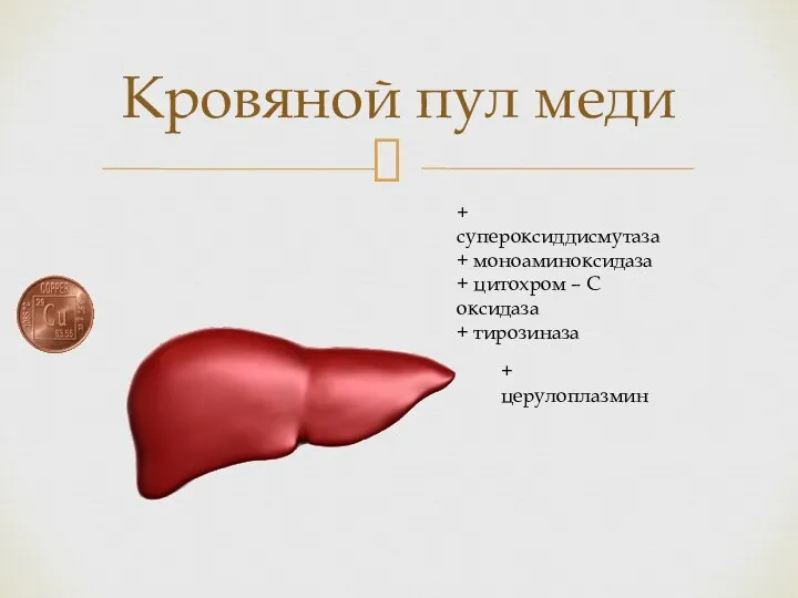 Кровяной пул меди + супероксиддисмутаза + моноаминоксидаза + цитохром – С оксидаза + тирозиназа + церулоплазмин