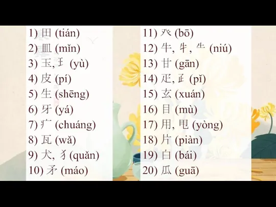 1) 田 (tián) 2) 皿 (mǐn) 3) 玉, ⺩(yù) 4) 皮 (pí) 5)