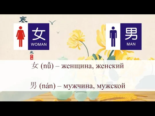 女 (nǚ) – женщина, женский 男 (nán) – мужчина, мужской