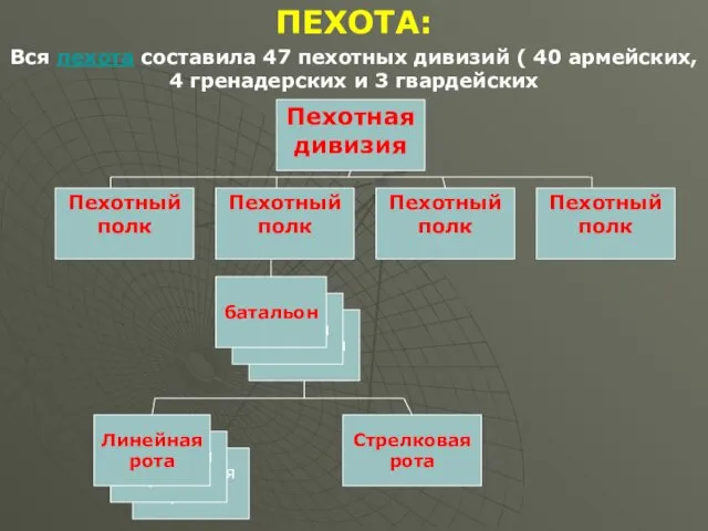 ПЕХОТА: Вся пехота составила 47 пехотных дивизий ( 40 армейских,