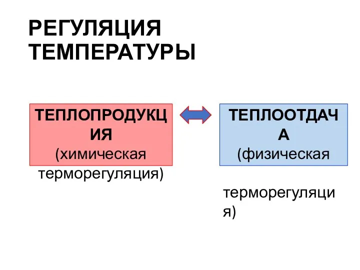 РЕГУЛЯЦИЯ ТЕМПЕРАТУРЫ ТЕПЛОПРОДУКЦИЯ (химическая терморегуляция) ТЕПЛООТДАЧА (физическая терморегуляция)