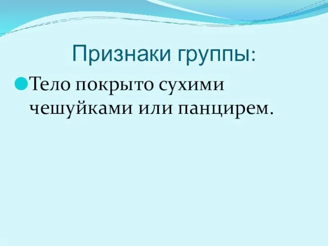 Признаки группы: Тело покрыто сухими чешуйками или панцирем.