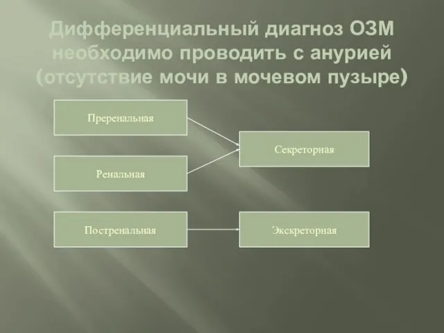 Дифференциальный диагноз ОЗМ необходимо проводить с анурией (отсутствие мочи в