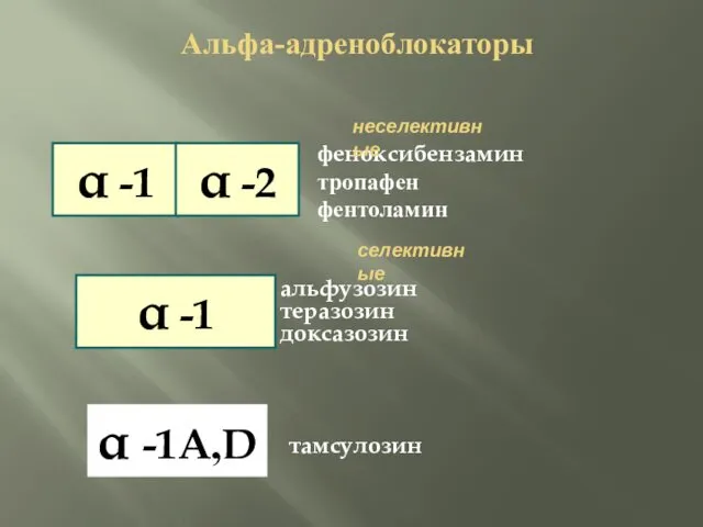 феноксибензамин тропафен фентоламин α -1 α -1А,D альфузозин теразозин доксазозин тамсулозин неселективные селективные Альфа-адреноблокаторы