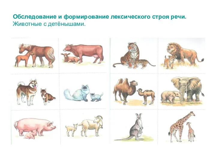 Обследование и формирование лексического строя речи. Животные с детёнышами.