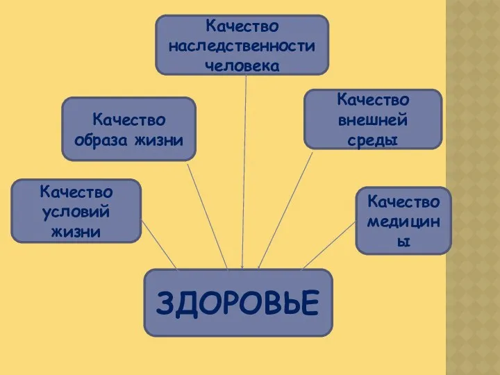 ЗДОРОВЬЕ Качество условий жизни Качество образа жизни Качество наследственности человека Качество внешней среды Качество медицины