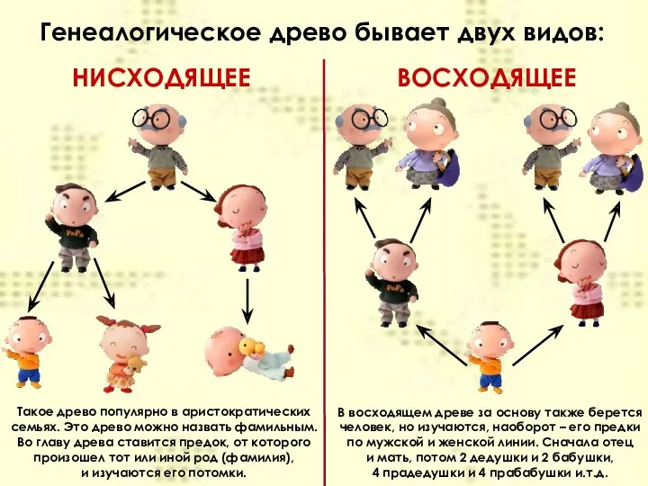 Генеалогическое древо бывает двух видов: НИСХОДЯЩЕЕ ВОСХОДЯЩЕЕ Такое древо популярно