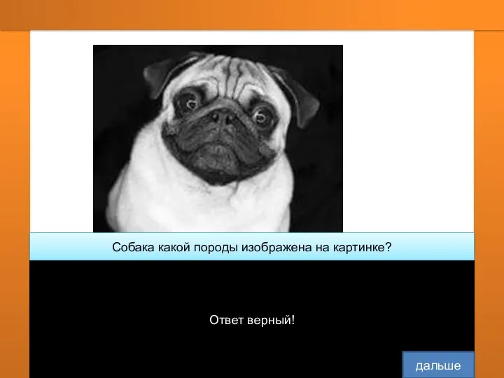 Собака какой породы изображена на картинке? Ответ верный! дальше