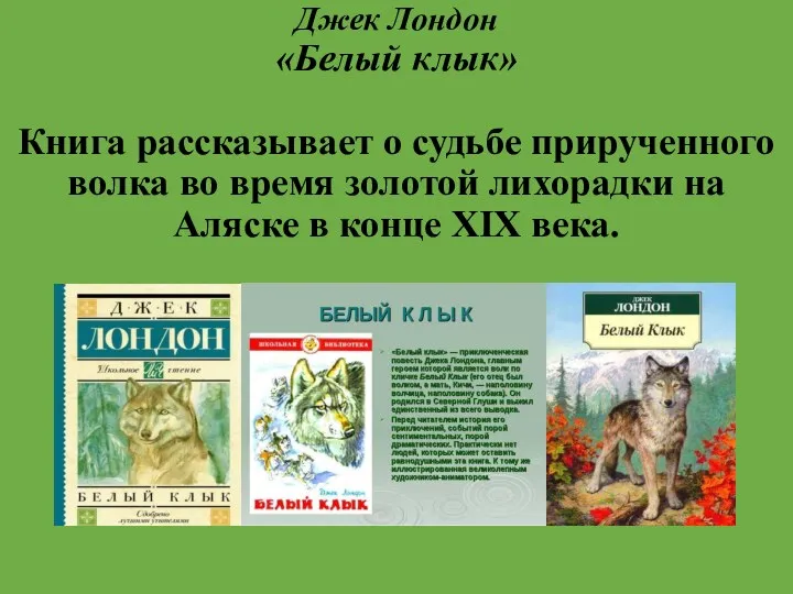 Джек Лондон «Белый клык» Книга рассказывает о судьбе прирученного волка