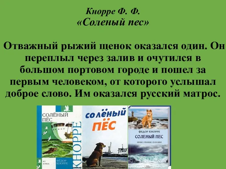 Кнорре Ф. Ф. «Соленый пес» Отважный рыжий щенок оказался один.