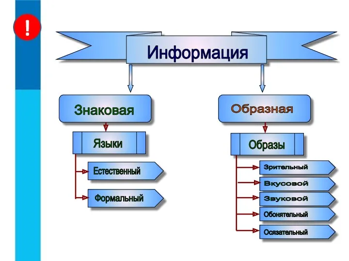 Знаковая Информация Образная Языки Образы Естественный Формальный Зрительный Вкусовой Звуковой Обонятельный Осязательный !