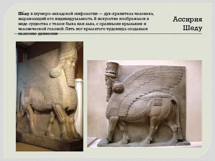 Ассирия Шеду Ше́ду в шумеро-аккадской мифологии — дух-хранитель человека, выражающий