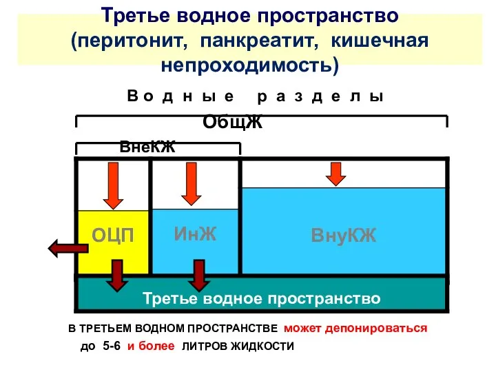 Третье водное пространство (перитонит, панкреатит, кишечная непроходимость) В о д