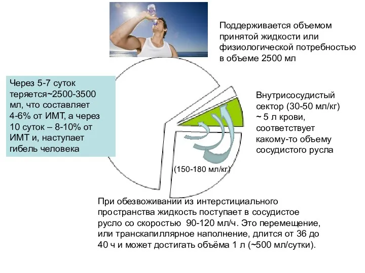 Внутрисосудистый сектор (30-50 мл/кг) ~ 5 л крови, соответствует какому-то