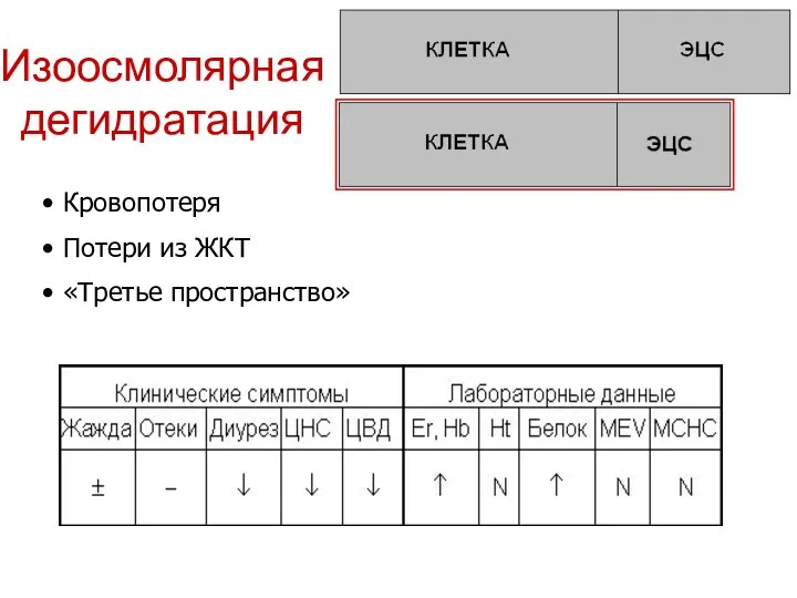 Изоосмолярная дегидратация Кровопотеря Потери из ЖКТ «Третье пространство»