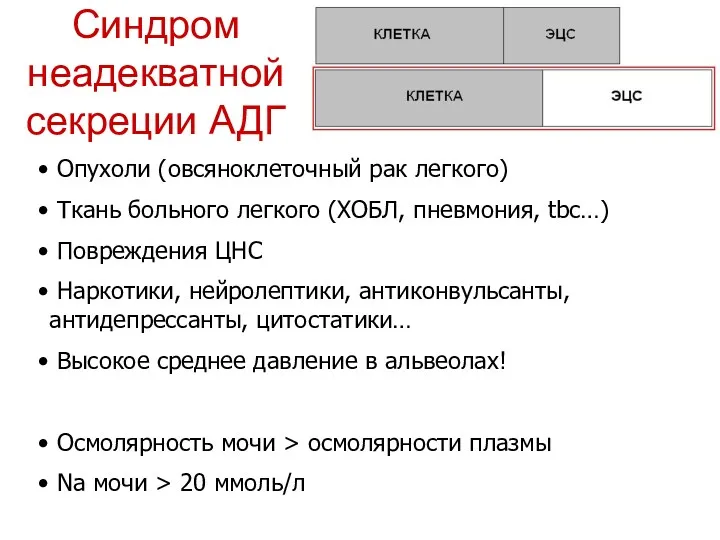 Синдром неадекватной секреции АДГ Опухоли (овсяноклеточный рак легкого) Ткань больного