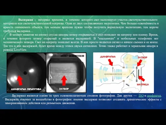 Выдержка - интервал времени, в течение которого свет экспонирует участок