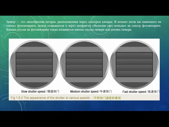Затвор — это своеобразная шторка, расположенная перед сенсором камеры. В