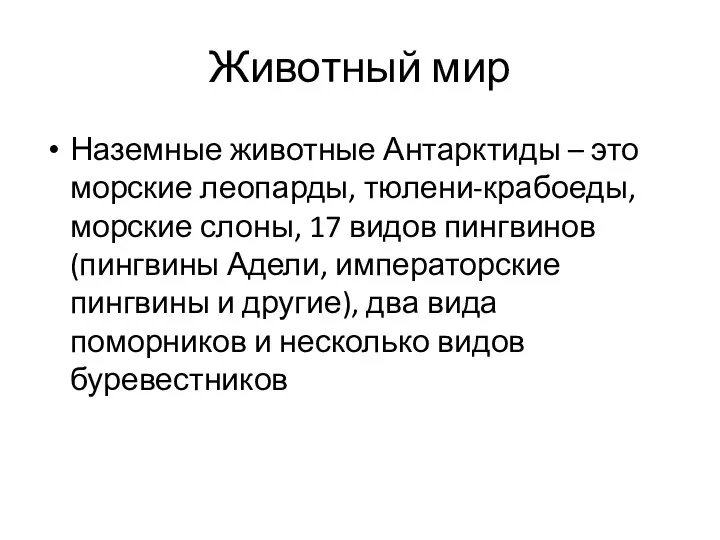 Животный мир Наземные животные Антарктиды – это морские леопарды, тюлени-крабоеды,