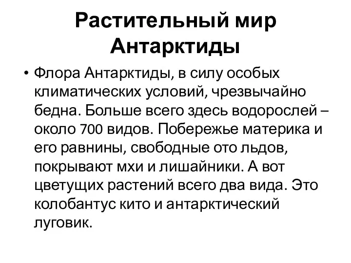 Растительный мир Антарктиды Флора Антарктиды, в силу особых климатических условий,