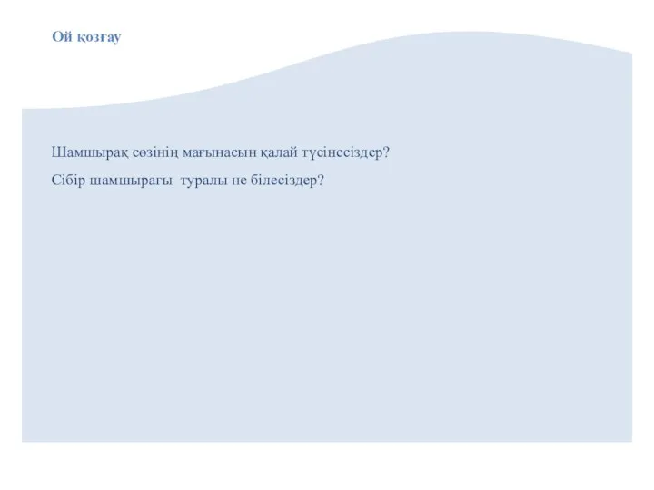 Шамшырақ сөзінің мағынасын қалай түсінесіздер? Сібір шамшырағы туралы не білесіздер? Ой қозғау