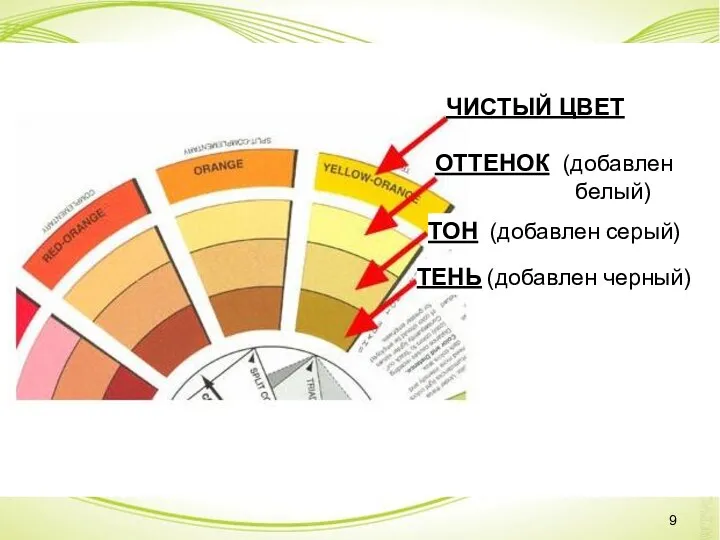 ЧИСТЫЙ ЦВЕТ ОТТЕНОК (добавлен белый) ТОН (добавлен серый) ТЕНЬ (добавлен черный)