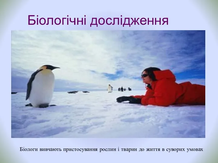 Біологічні дослідження Біологи вивчають пристосування рослин і тварин до життя в суворих умовах