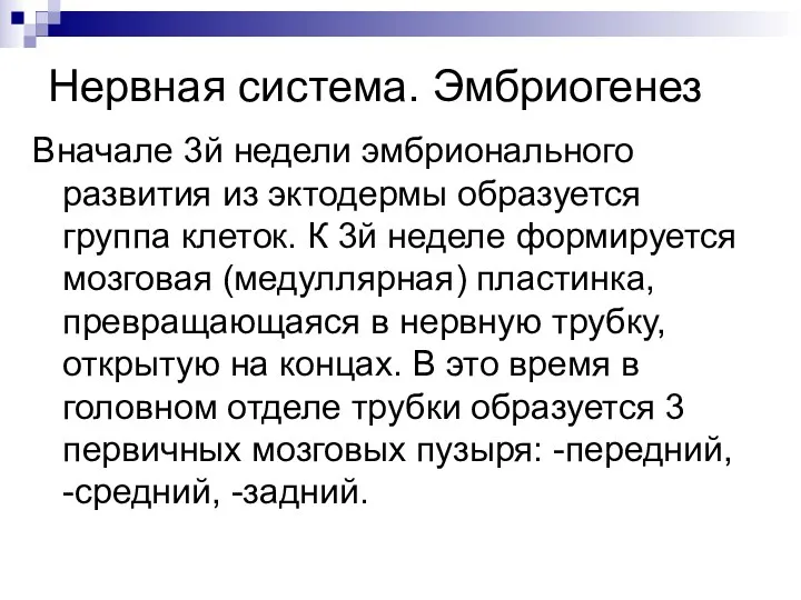 Нервная система. Эмбриогенез Вначале 3й недели эмбрионального развития из эктодермы