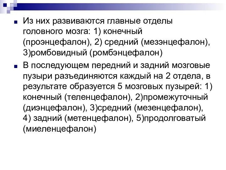 Из них развиваются главные отделы головного мозга: 1) конечный (проэнцефалон),