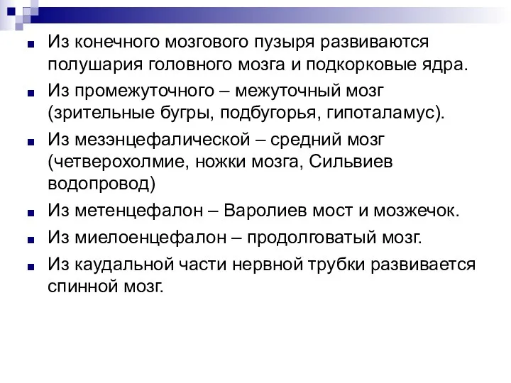 Из конечного мозгового пузыря развиваются полушария головного мозга и подкорковые