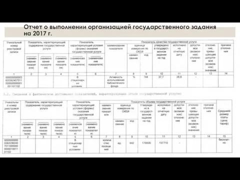 Отчет о выполнении организацией государственного задания на 2017 г.