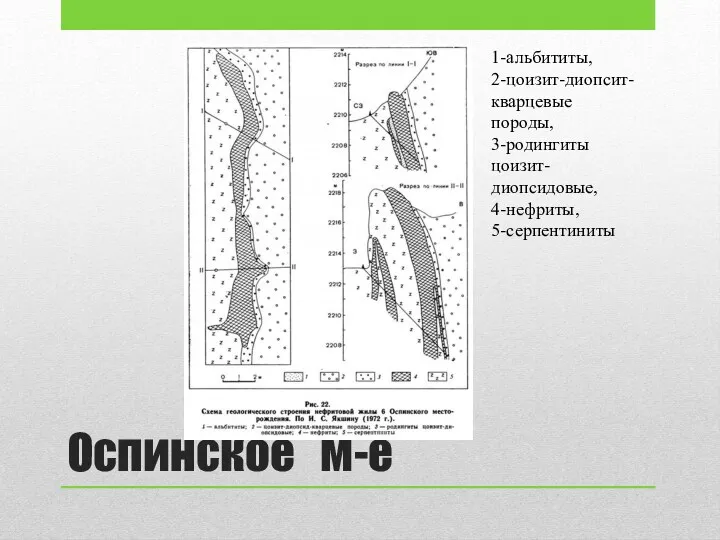 Оспинское м-е 1-альбититы, 2-цоизит-диопсит-кварцевые породы, 3-родингиты цоизит-диопсидовые, 4-нефриты, 5-серпентиниты