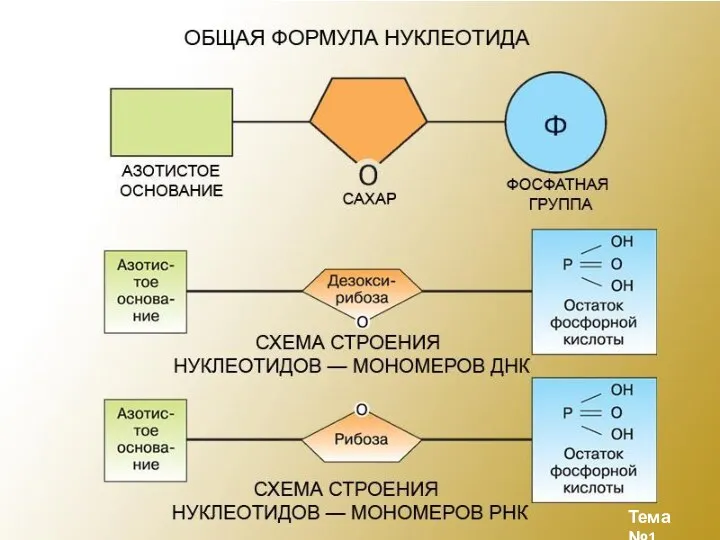 Тема №1