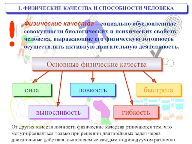 1. ФИЗИЧЕСКИЕ КАЧЕСТВА И СПОСОБНОСТИ ЧЕЛОВЕКА Физические качества – социально