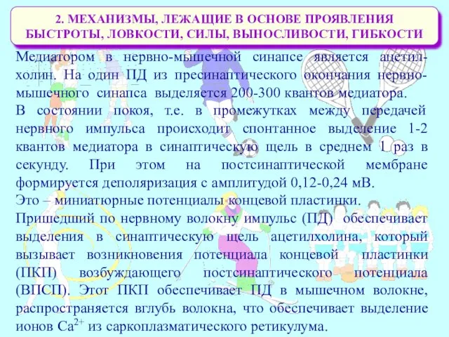 2. МЕХАНИЗМЫ, ЛЕЖАЩИЕ В ОСНОВЕ ПРОЯВЛЕНИЯ БЫСТРОТЫ, ЛОВКОСТИ, СИЛЫ, ВЫНОСЛИВОСТИ,