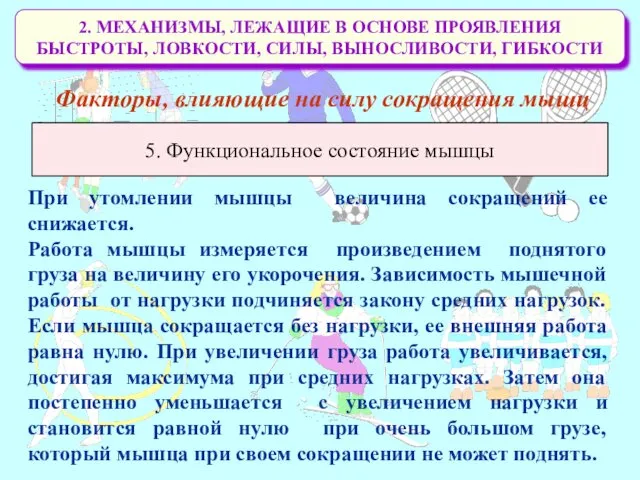 2. МЕХАНИЗМЫ, ЛЕЖАЩИЕ В ОСНОВЕ ПРОЯВЛЕНИЯ БЫСТРОТЫ, ЛОВКОСТИ, СИЛЫ, ВЫНОСЛИВОСТИ,