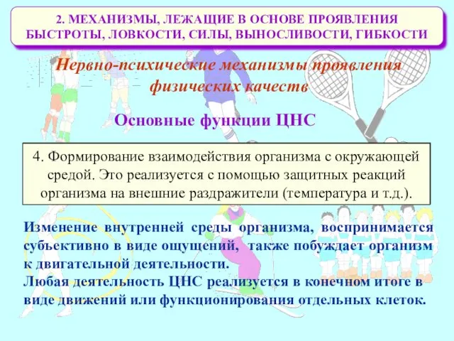 2. МЕХАНИЗМЫ, ЛЕЖАЩИЕ В ОСНОВЕ ПРОЯВЛЕНИЯ БЫСТРОТЫ, ЛОВКОСТИ, СИЛЫ, ВЫНОСЛИВОСТИ,