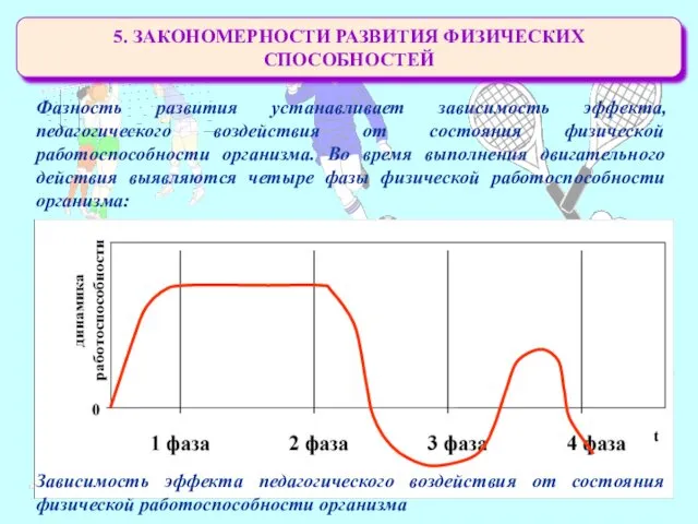 5. ЗАКОНОМЕРНОСТИ РАЗВИТИЯ ФИЗИЧЕСКИХ СПОСОБНОСТЕЙ Фазность развития устанавливает зависимость эффекта,