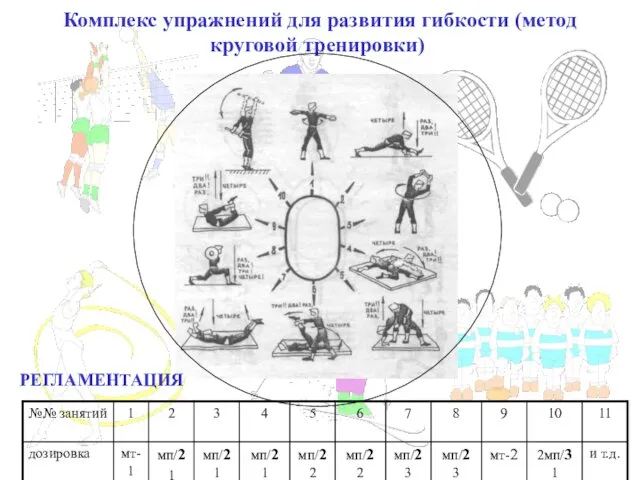 Комплекс упражнений для развития гибкости (метод круговой тренировки) РЕГЛАМЕНТАЦИЯ