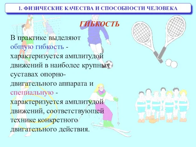 1. ФИЗИЧЕСКИЕ КАЧЕСТВА И СПОСОБНОСТИ ЧЕЛОВЕКА В практике выделяют общую