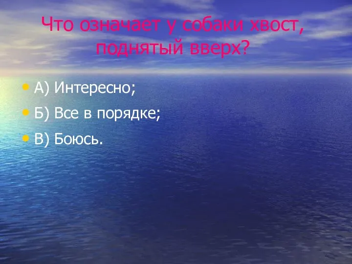 Что означает у собаки хвост, поднятый вверх? А) Интересно; Б) Все в порядке; В) Боюсь.