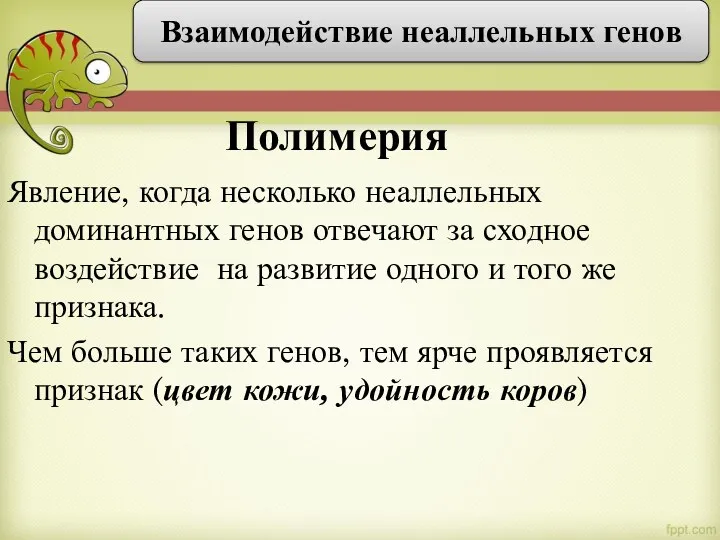 Явление, когда несколько неаллельных доминантных генов отвечают за сходное воздействие