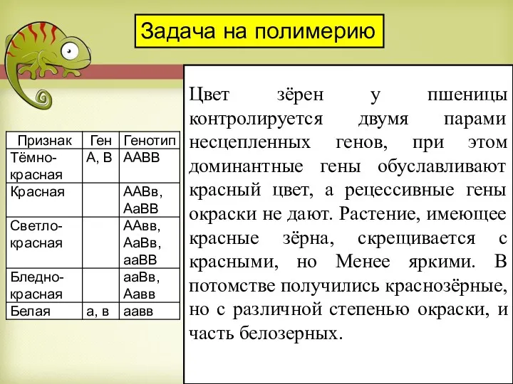 Цвет зёрен у пшеницы контролируется двумя парами несцепленных генов, при