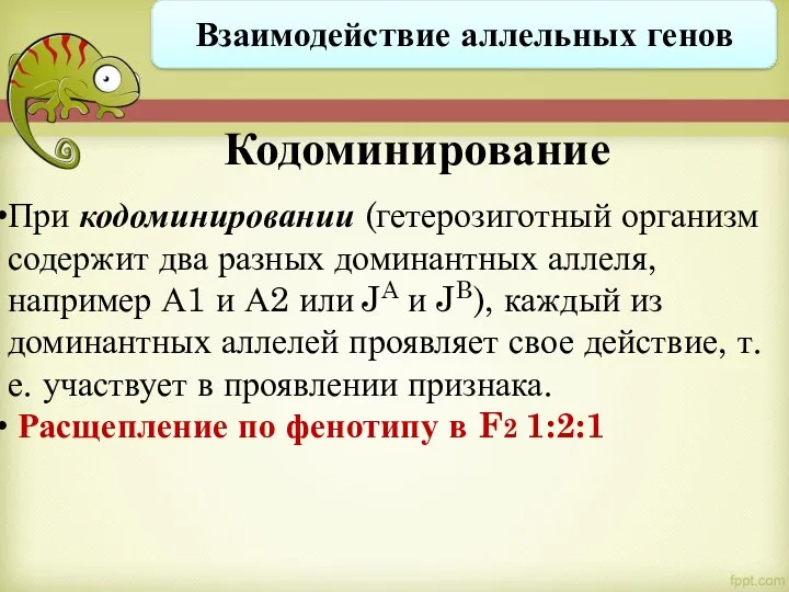 При кодоминировании (гетерозиготный организм содержит два разных доминантных аллеля, например А1 и А2