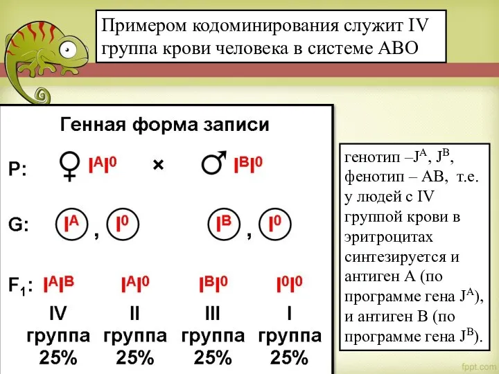 генотип –JA, JB, фенотип – АВ, т.е. у людей с