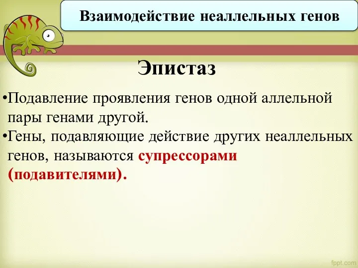 Подавление проявления генов одной аллельной пары генами другой. Гены, подавляющие