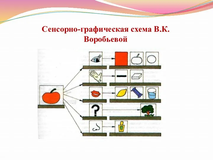 Сенсорно-графическая схема В.К. Воробьевой