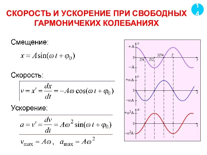 СКОРОСТЬ И УСКОРЕНИЕ ПРИ СВОБОДНЫХ ГАРМОНИЧЕКИХ КОЛЕБАНИЯХ 14