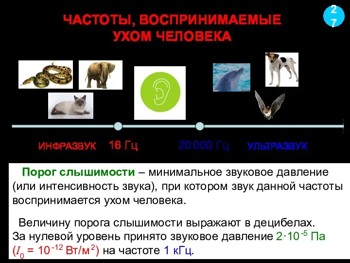 ЧАСТОТЫ, ВОСПРИНИМАЕМЫЕ УХОМ ЧЕЛОВЕКА 27 16 Гц 20 000 Гц